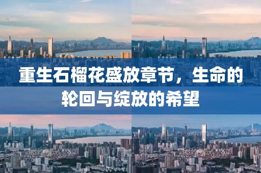 重生石榴花盛放章节，生命的轮回与绽放的希望