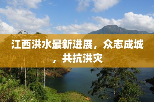 江西洪水最新进展，众志成城，共抗洪灾