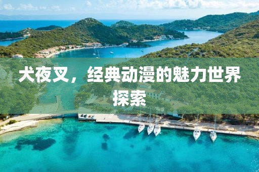 犬夜叉，经典动漫的魅力世界探索