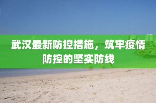 武汉最新防控措施，筑牢疫情防控的坚实防线