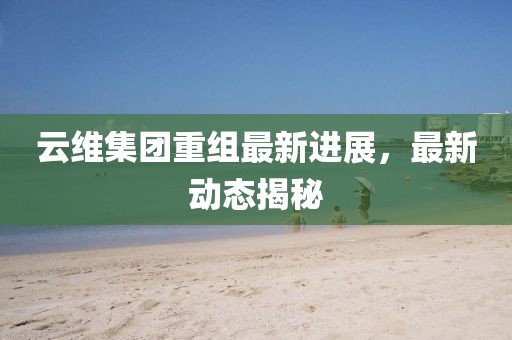 云维集团重组最新进展，最新动态揭秘