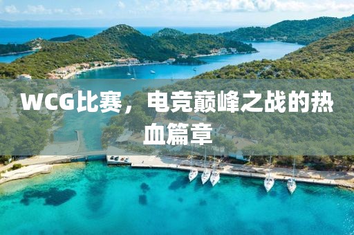 WCG比赛，电竞巅峰之战的热血篇章
