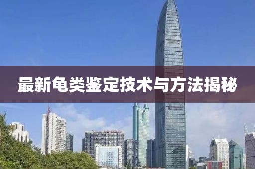 最新龟类鉴定技术与方法揭秘