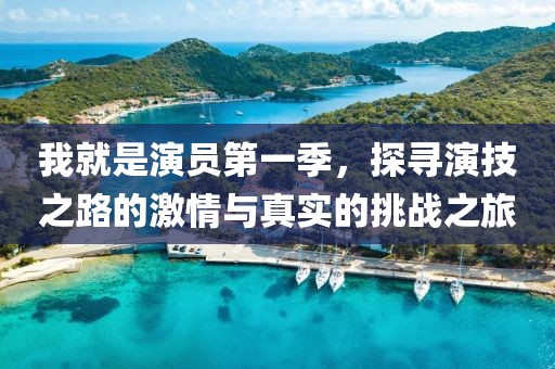 我就是演员第一季，探寻演技之路的激情与真实的挑战之旅