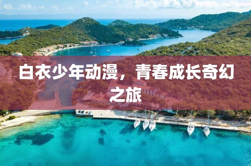 白衣少年动漫，青春成长奇幻之旅