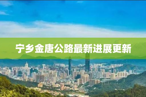 宁乡金唐公路最新进展更新