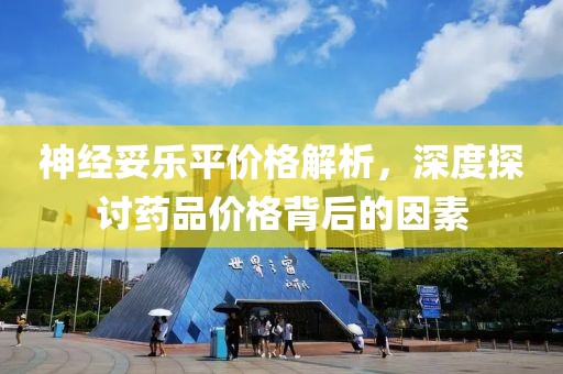 神经妥乐平价格解析，深度探讨药品价格背后的因素
