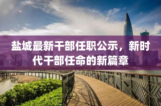 盐城最新干部任职公示，新时代干部任命的新篇章