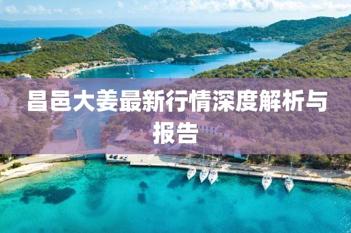 昌邑大姜最新行情深度解析与报告