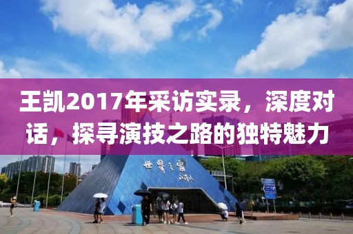 王凯2017年采访实录，深度对话，探寻演技之路的独特魅力