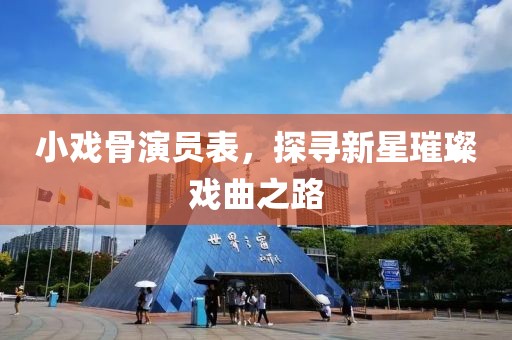 小戏骨演员表，探寻新星璀璨戏曲之路