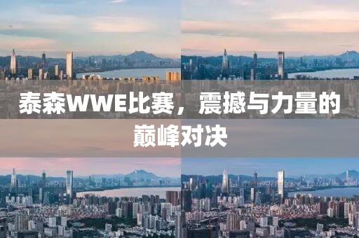 泰森WWE比赛，震撼与力量的巅峰对决