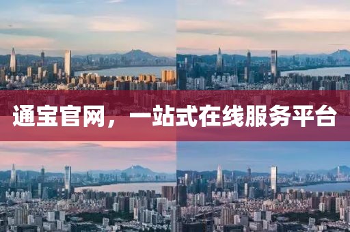 通宝官网，一站式在线服务平台