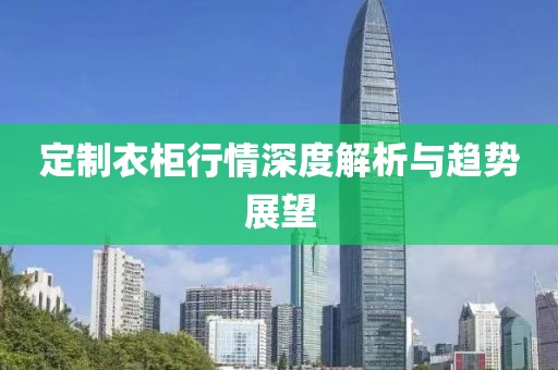 定制衣柜行情深度解析与趋势展望
