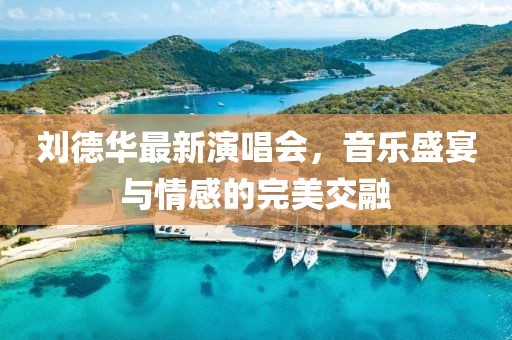 刘德华最新演唱会，音乐盛宴与情感的完美交融