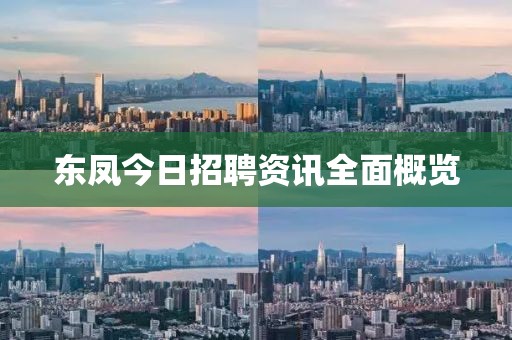 东凤今日招聘资讯全面概览