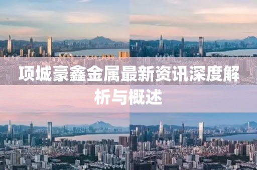 项城豪鑫金属最新资讯深度解析与概述