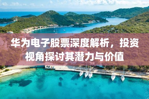 华为电子股票深度解析，投资视角探讨其潜力与价值