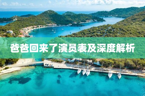 爸爸回来了演员表及深度解析