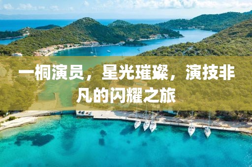 一桐演员，星光璀璨，演技非凡的闪耀之旅