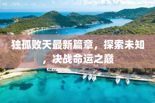 独孤败天最新篇章，探索未知，决战命运之巅