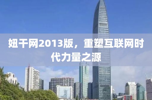 妞干网2013版，重塑互联网时代力量之源
