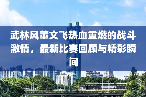武林风董文飞热血重燃的战斗激情，最新比赛回顾与精彩瞬间