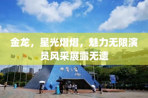 金龙，星光熠熠，魅力无限演员风采展露无遗
