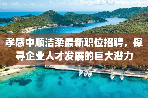 孝感中顺洁柔最新职位招聘，探寻企业人才发展的巨大潜力