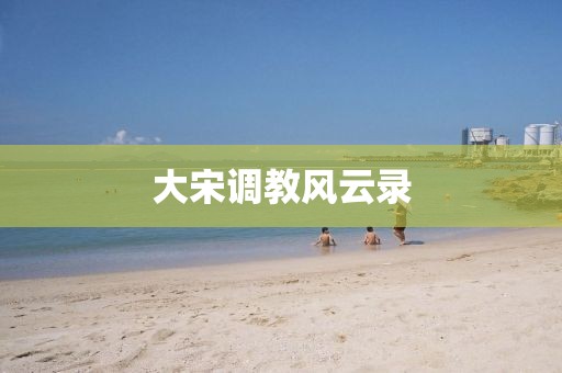 大宋调教风云录