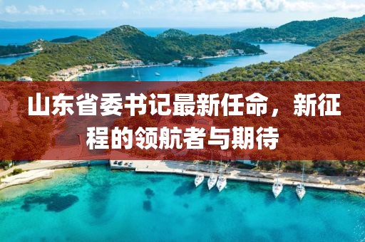 山东省委书记最新任命，新征程的领航者与期待