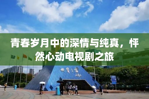 青春岁月中的深情与纯真，怦然心动电视剧之旅