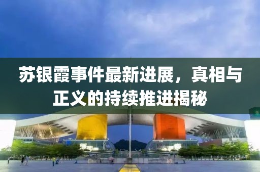 苏银霞事件最新进展，真相与正义的持续推进揭秘