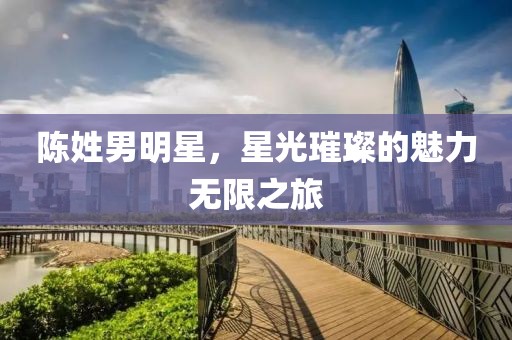 陈姓男明星，星光璀璨的魅力无限之旅