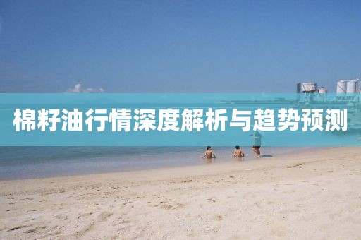 棉籽油行情深度解析与趋势预测