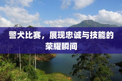 警犬比赛，展现忠诚与技能的荣耀瞬间