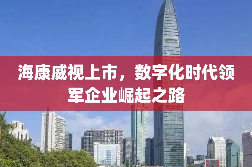 海康威视上市，数字化时代领军企业崛起之路
