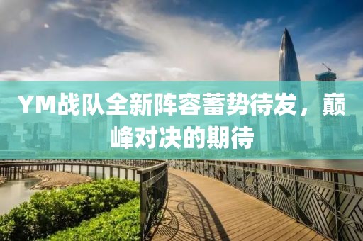 YM战队全新阵容蓄势待发，巅峰对决的期待