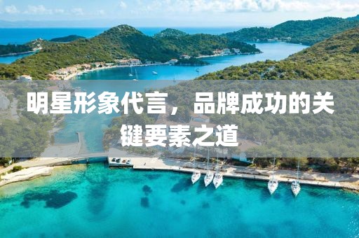 明星形象代言，品牌成功的关键要素之道