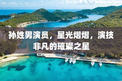 孙姓男演员，星光熠熠，演技非凡的璀璨之星