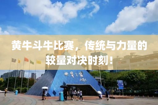 黄牛斗牛比赛，传统与力量的较量对决时刻！