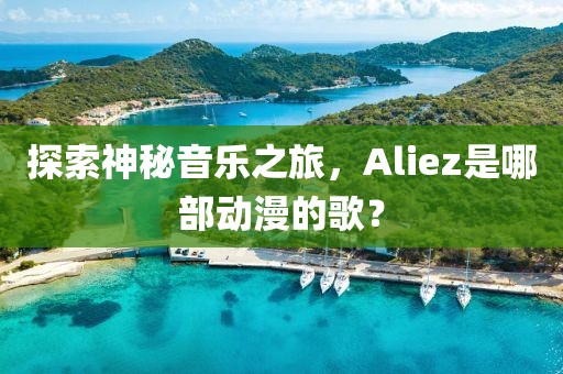 探索神秘音乐之旅，Aliez是哪部动漫的歌？