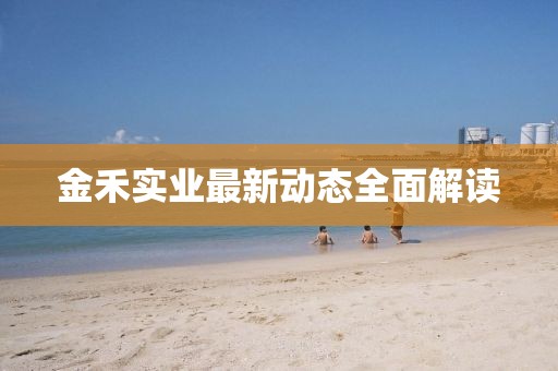 金禾实业最新动态全面解读
