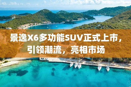 景逸X6多功能SUV正式上市，引领潮流，亮相市场