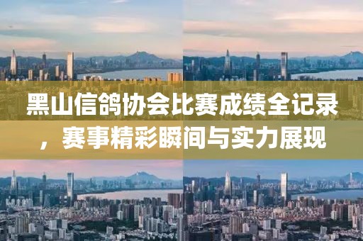黑山信鸽协会比赛成绩全记录，赛事精彩瞬间与实力展现