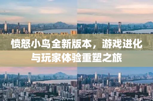 愤怒小鸟全新版本，游戏进化与玩家体验重塑之旅