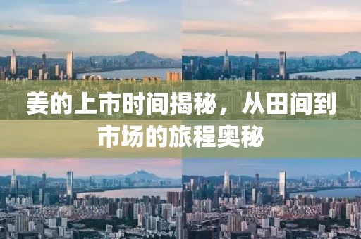 姜的上市时间揭秘，从田间到市场的旅程奥秘
