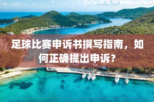 足球比赛申诉书撰写指南，如何正确提出申诉？