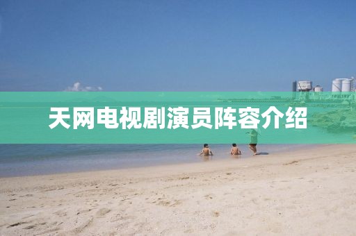 天网电视剧演员阵容介绍