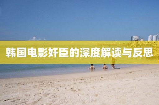 韩国电影奸臣的深度解读与反思